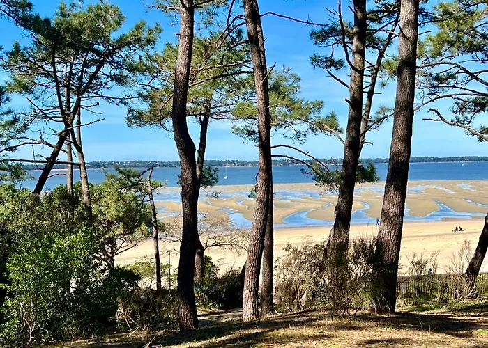 L\'OCEAN vue bassin 1ère ligne Plage Pereire vue mer